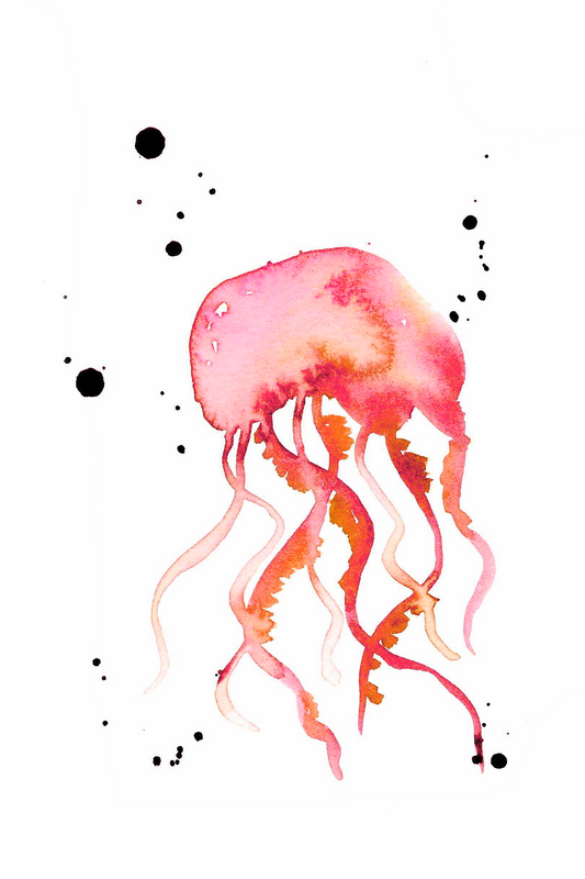 Red Orange Jellyfish 4x6, 5x7, 8x10