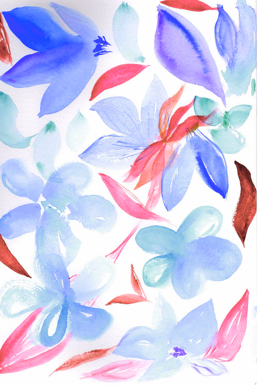Blue Red Magenta Floral Frenzy 4x6, 5x7, 8x10