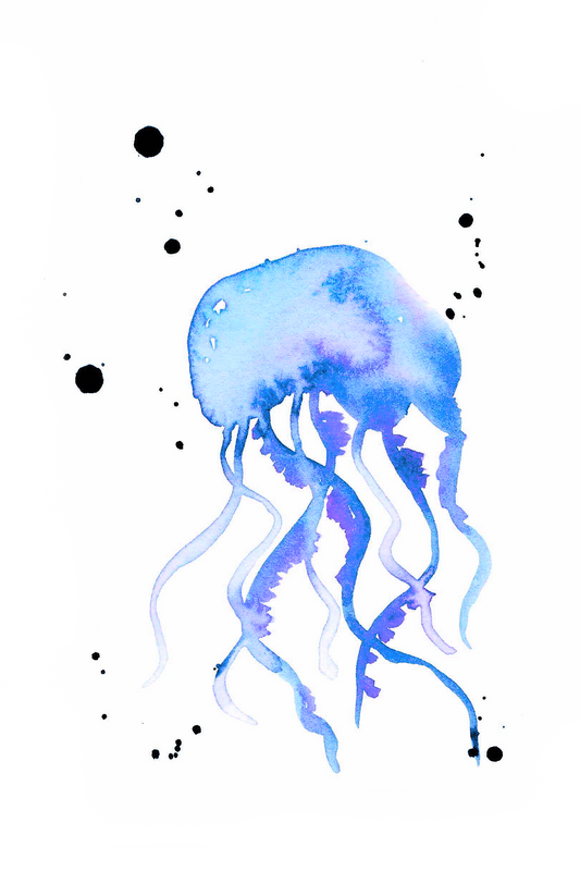 Blue Jellyfish 4x6, 5x7, 8x10