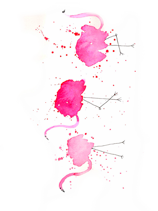 Splashy Flamingos 4x6, 5x7, 8x10