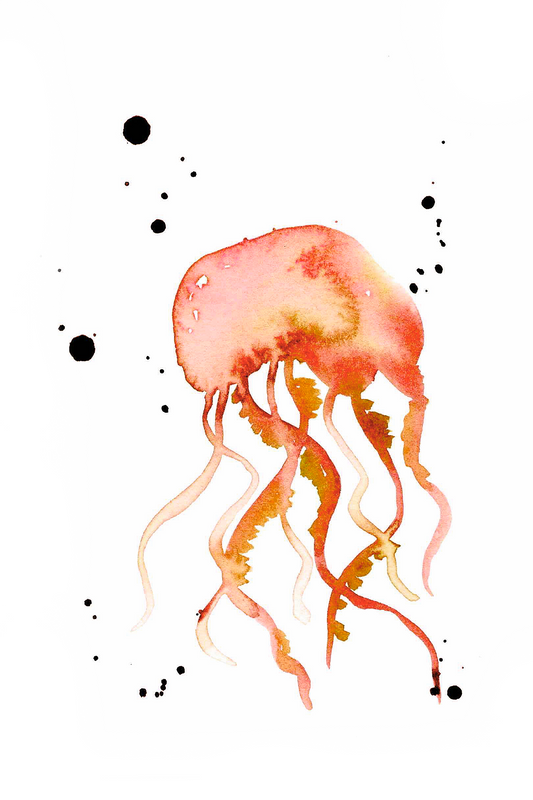 Orange Jellyfish 4x6, 5x7, 8x10