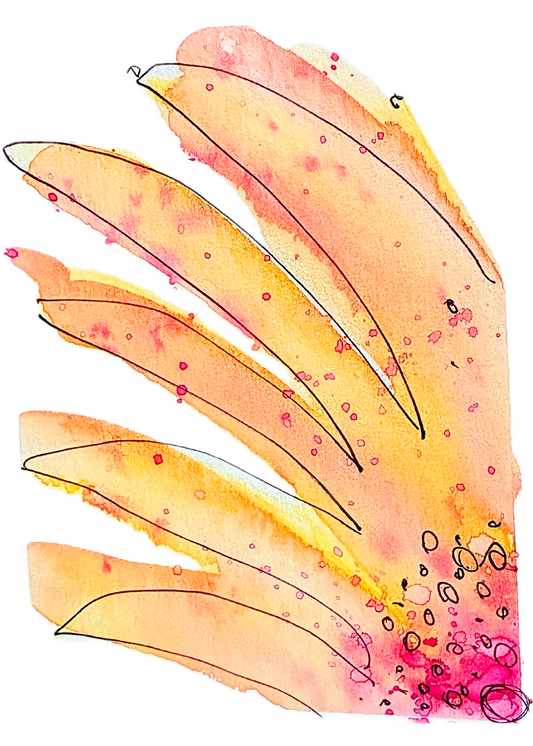 Orange Magenta Blooms 4x6, 5x7, 8x10