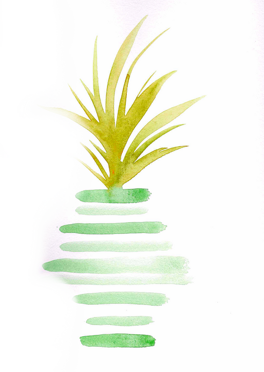 Green Striped Pot 4x6, 5x7, 8x10