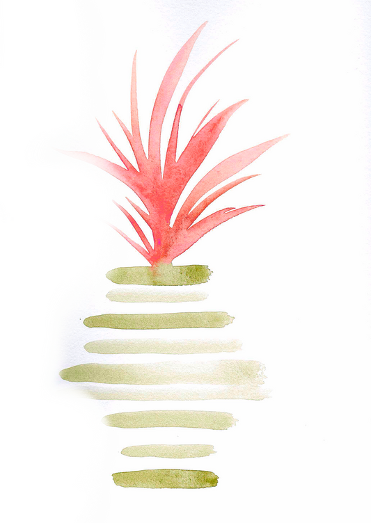 Olive Striped Pot 4x6, 5x7, 8x10