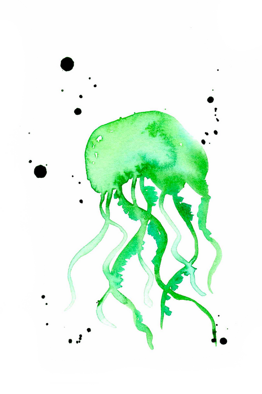 Green Jellyfish 4x6, 5x7, 8x10